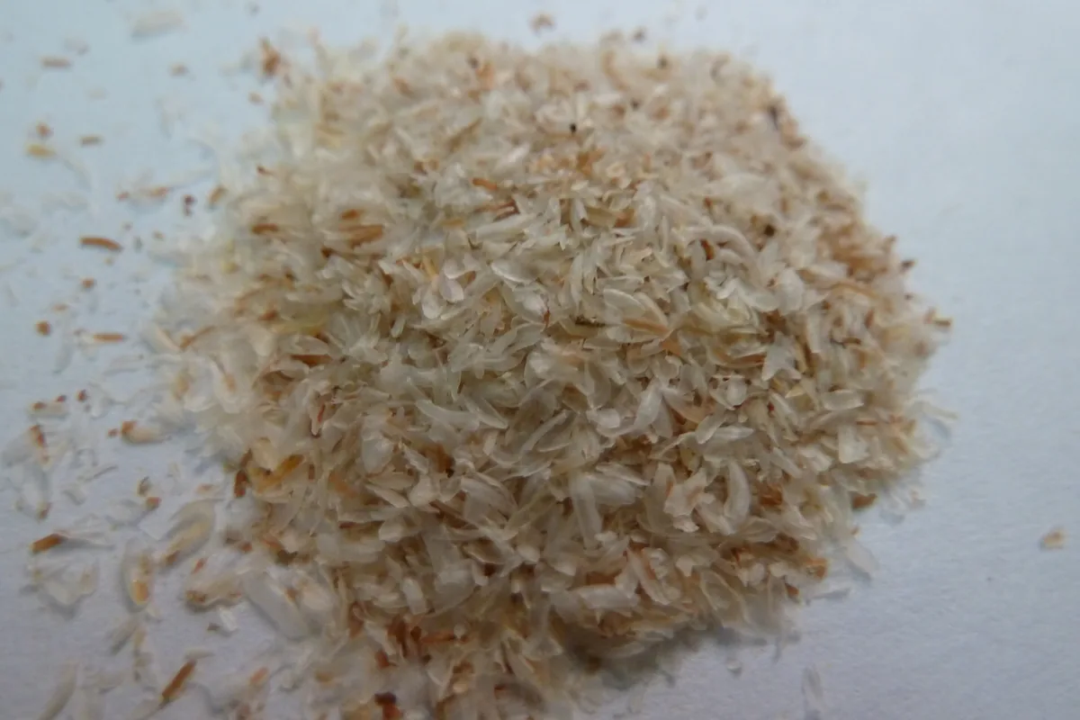 Kupka łusek babki jajowatej (psyllium) na jasnym blacie.